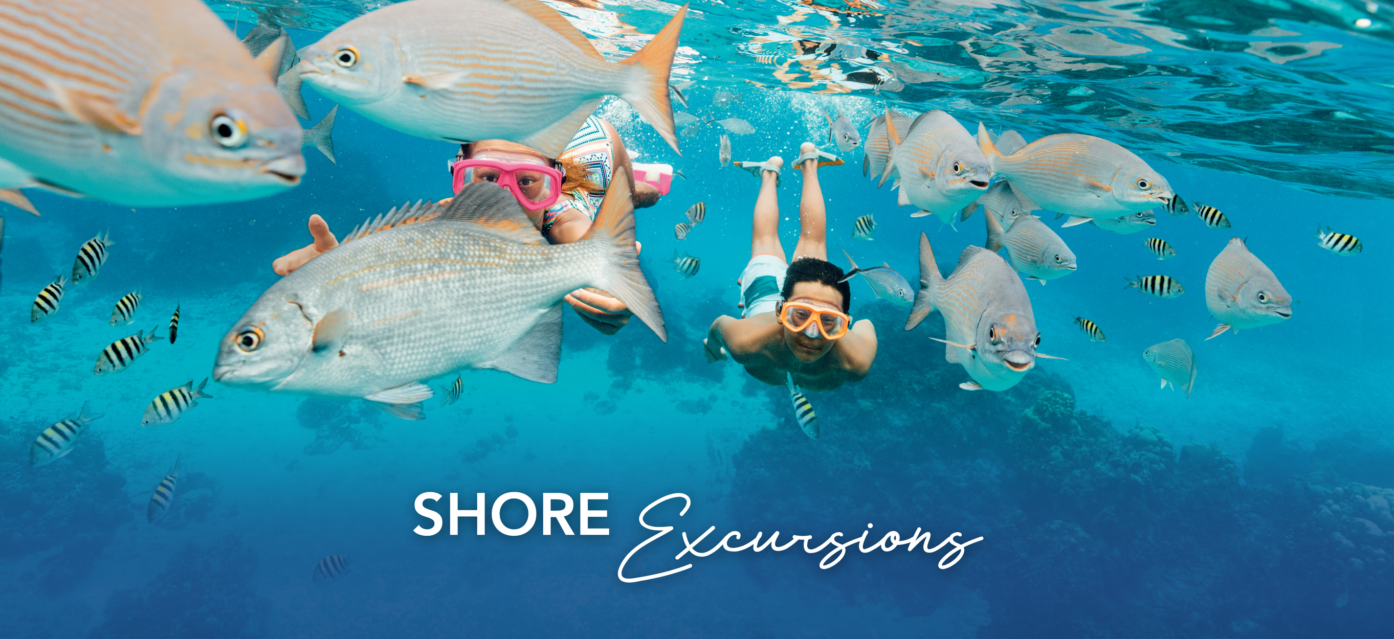 Shore excursions for every port!